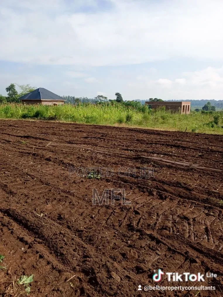 Namayumba Kasanga Plots in Wakiso / Wakiso