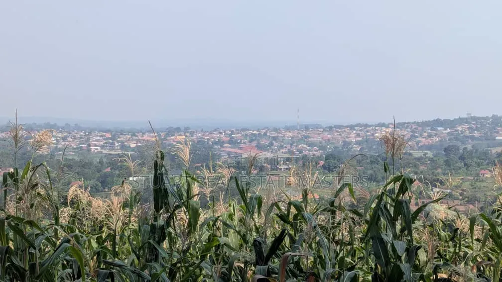 4 Acres for Sale at Mutundwe in Rubaga