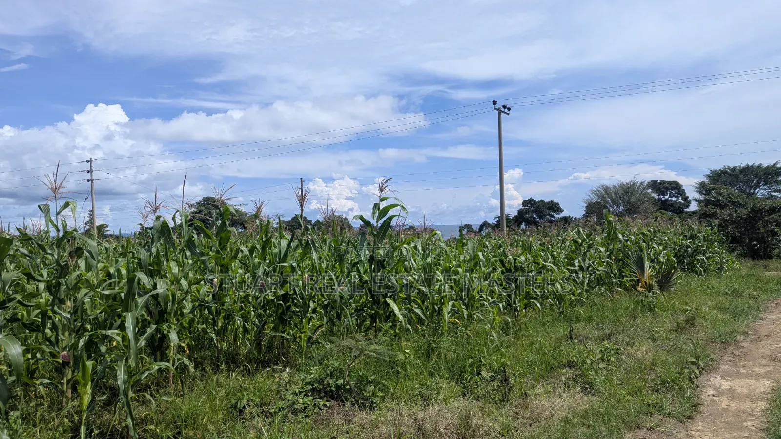 3 Acres for Sale at Katosi in Ntenjeru / Mukono