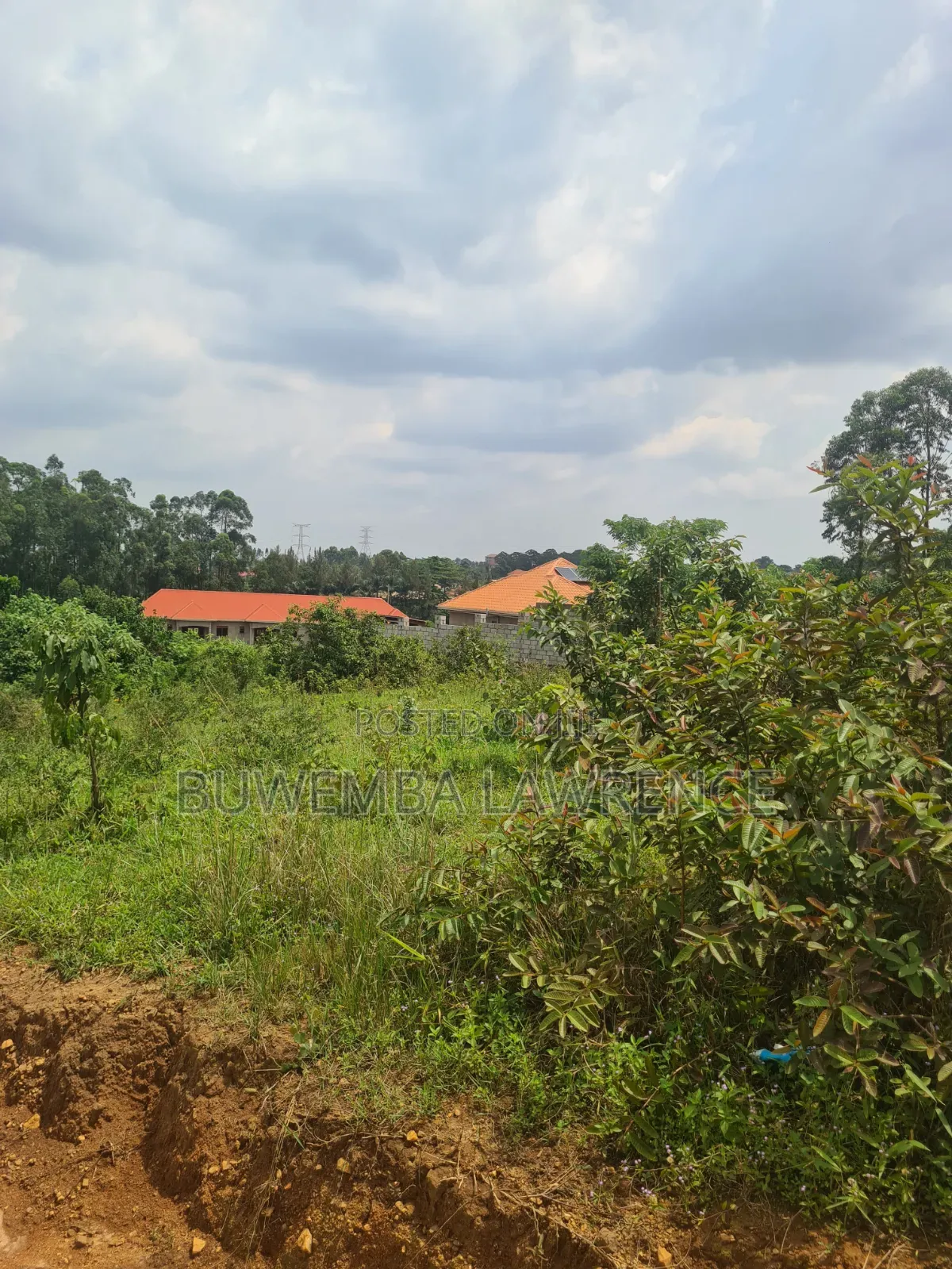 Land for Sale at Bujjuko Mityana Road 50x100 in Central Division