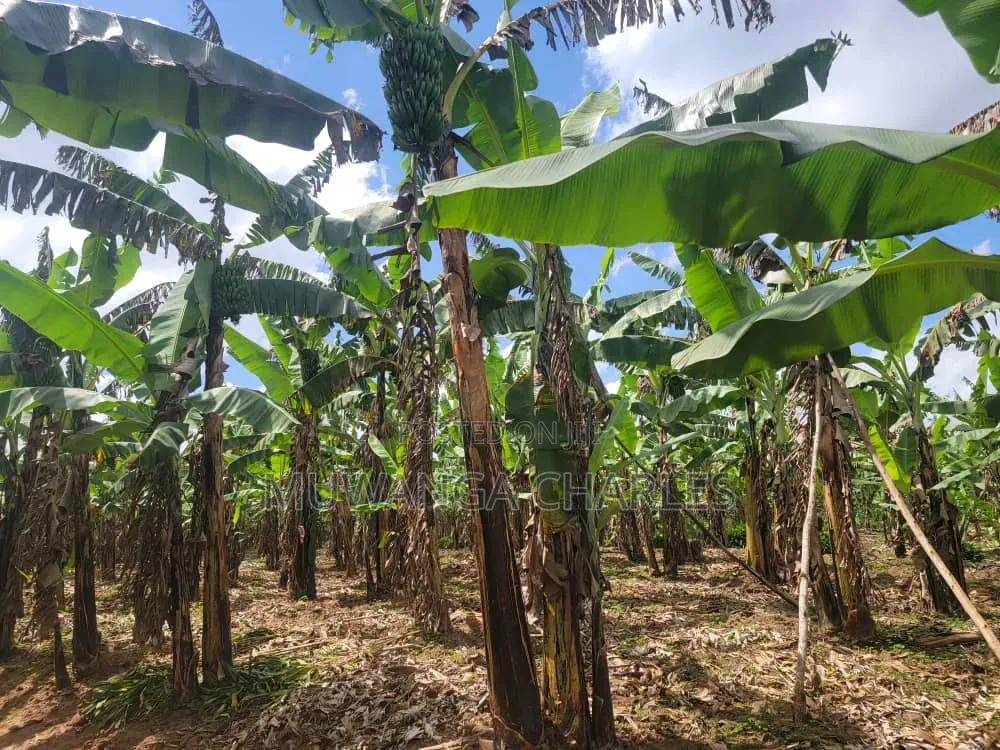 15decimals for Sale in Bukoto in Central Division