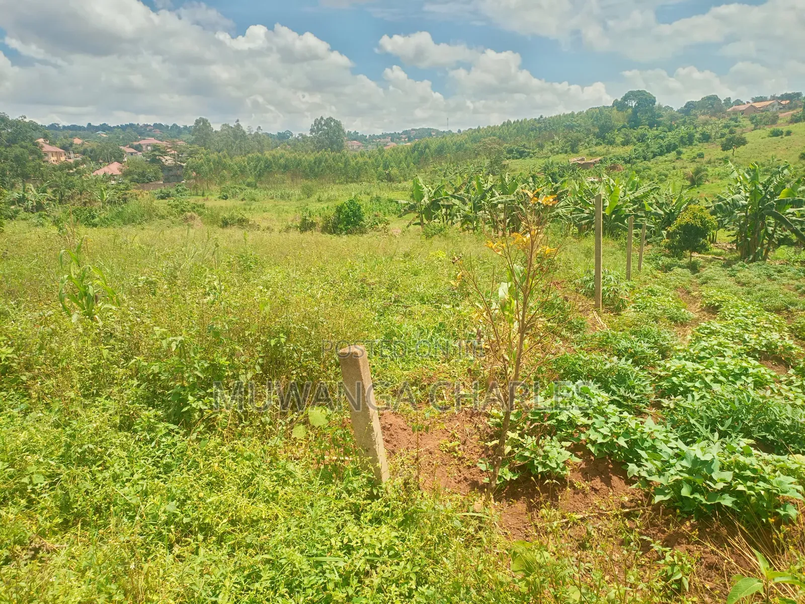 Plots on Sale in Kiwenda Kasawe in Division A