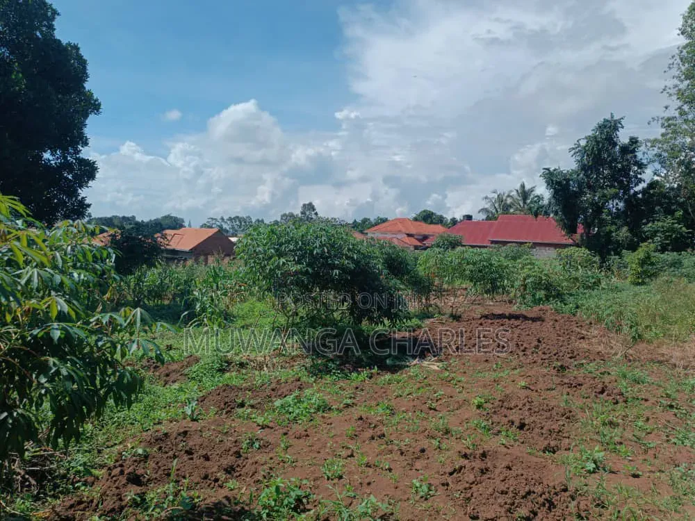 Plots on Sale in Buwate in Division A