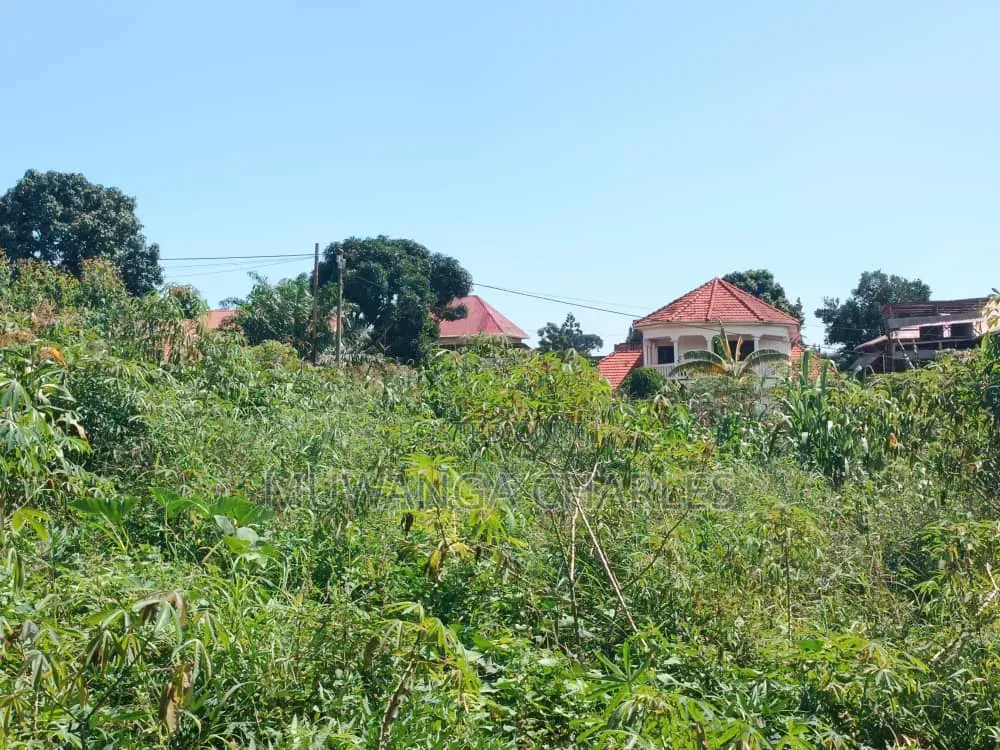 Plots on Sale in Buwate in Division A