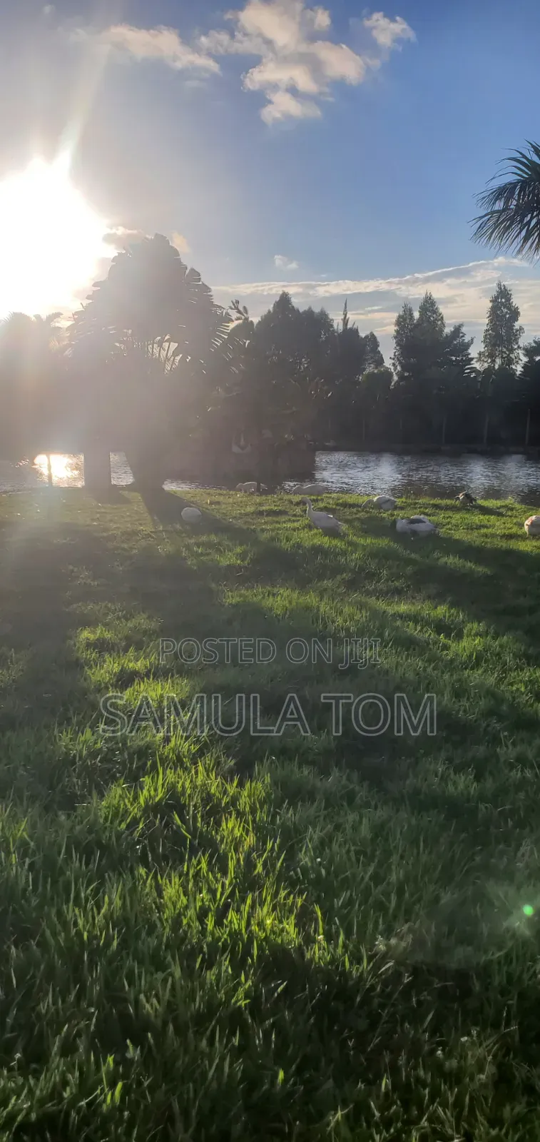 Land for Sell Located at Mutundwe in Central Division