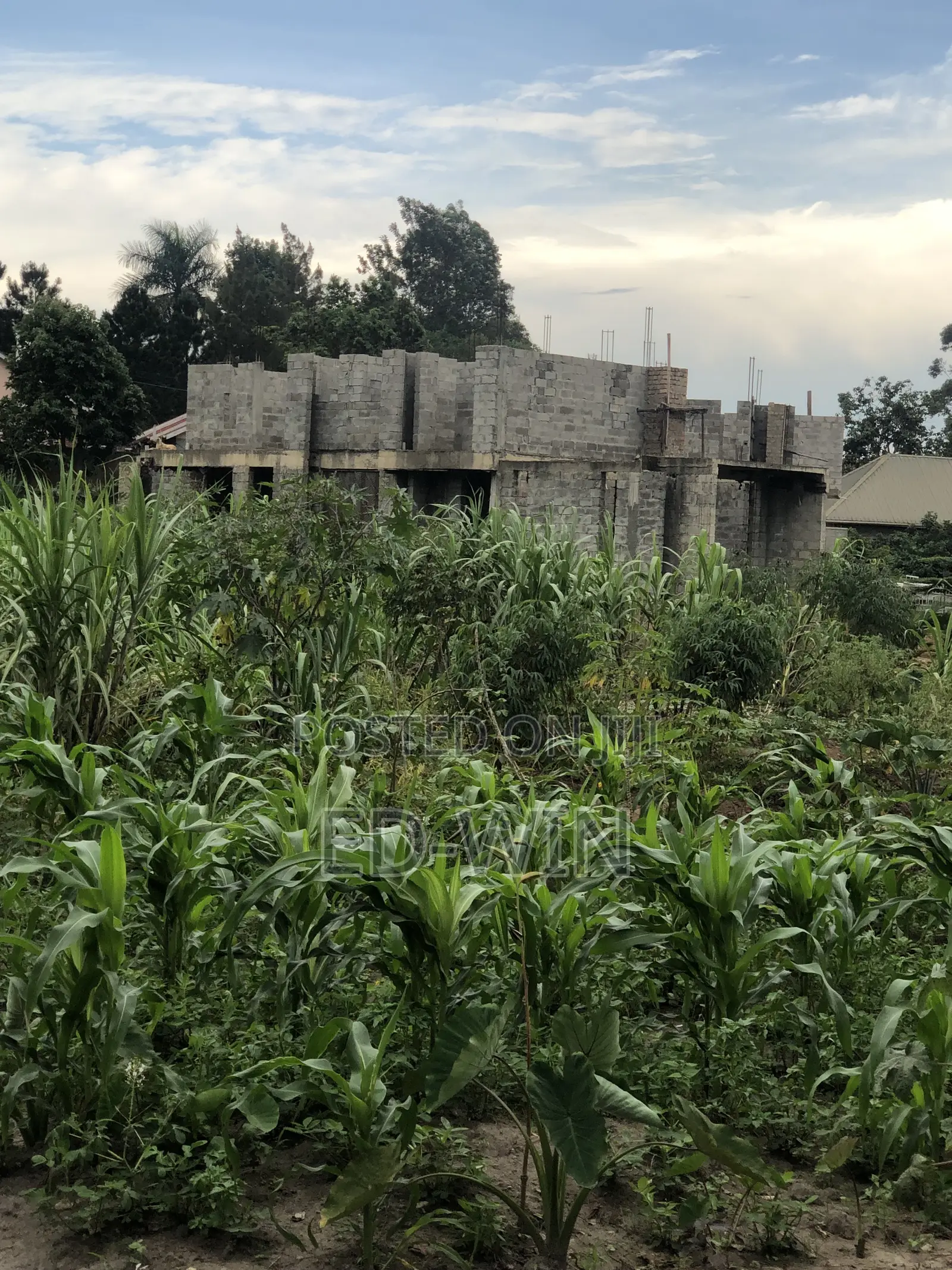 Namugongo Wabusana 2 Acres in Nakawa