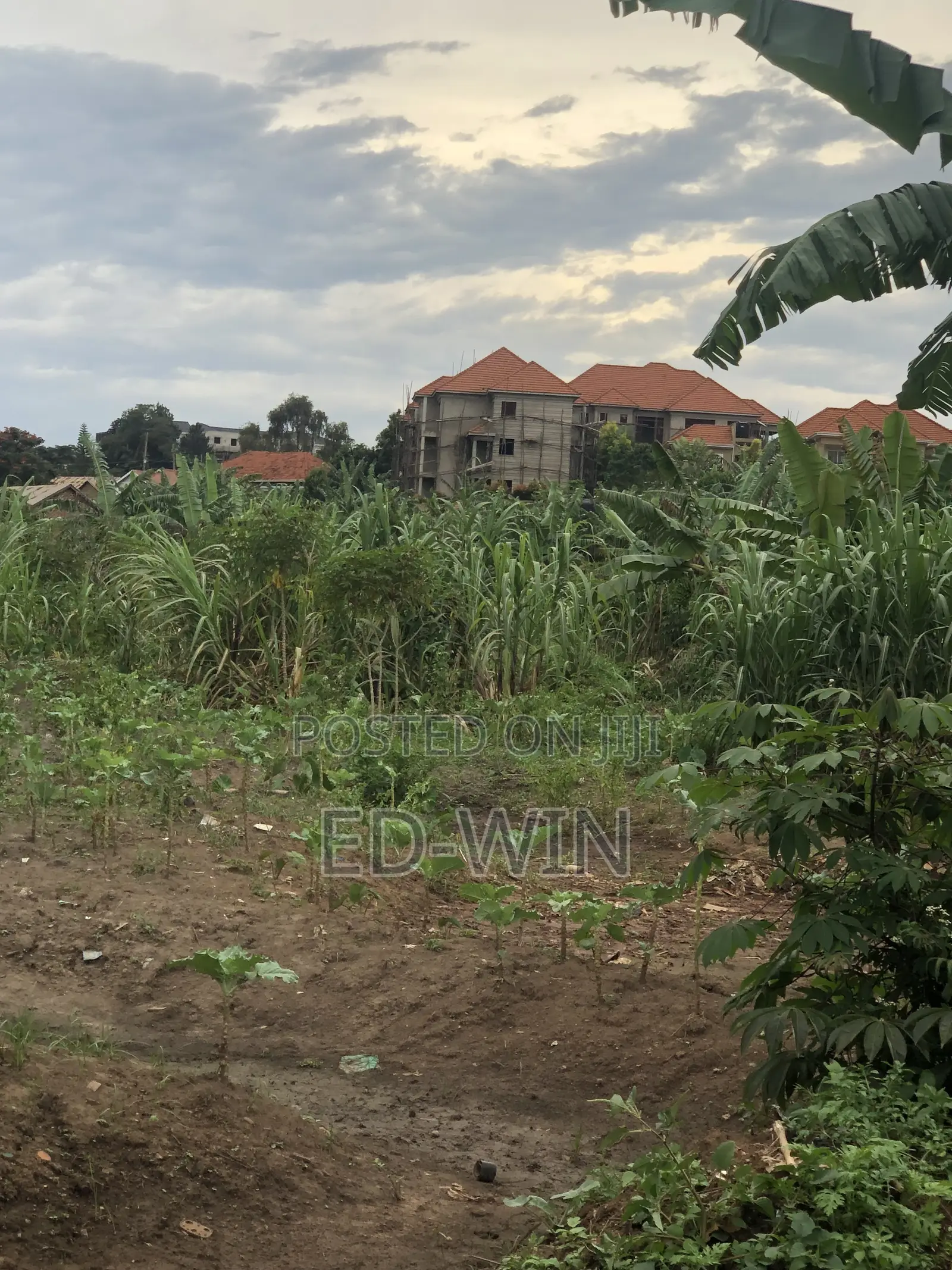 Namugongo Wabusana 2 Acres in Nakawa