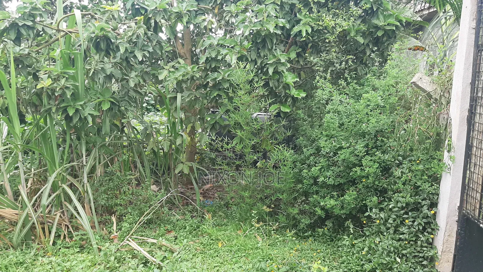 Bamba Plot for Sale Near Twin Brook SCH in Wakiso / Wakiso