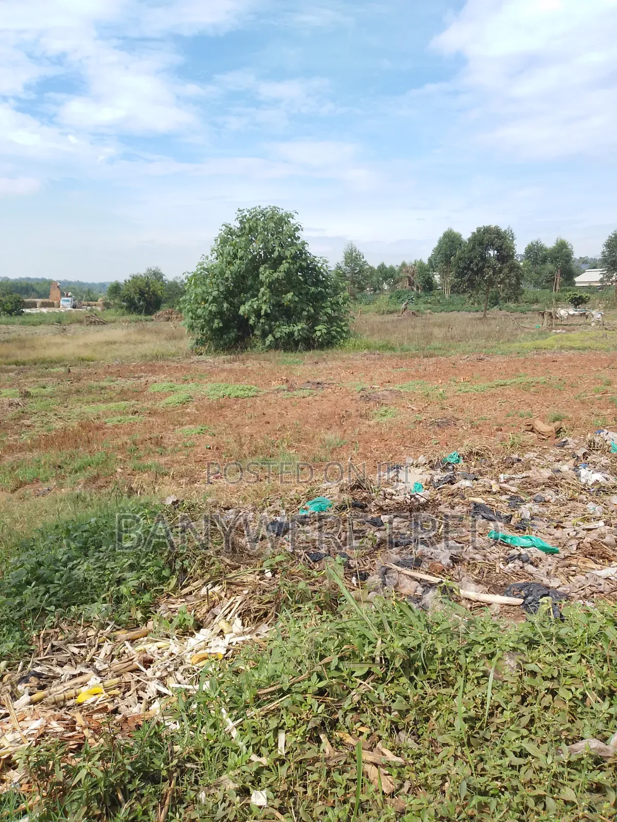 3 Acres of Farmland in Kasayi in Goma