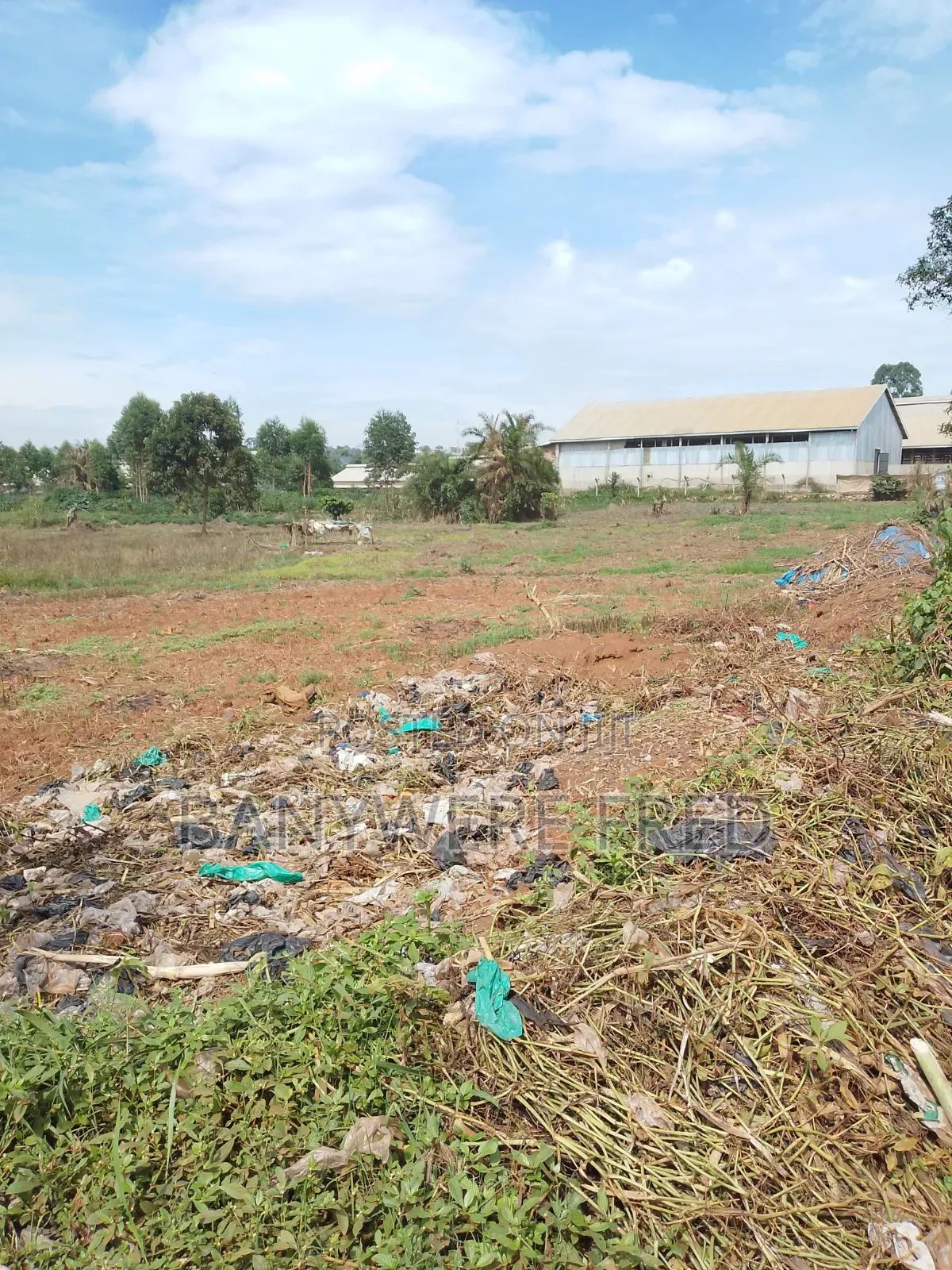 3 Acres of Farmland in Kasayi in Goma