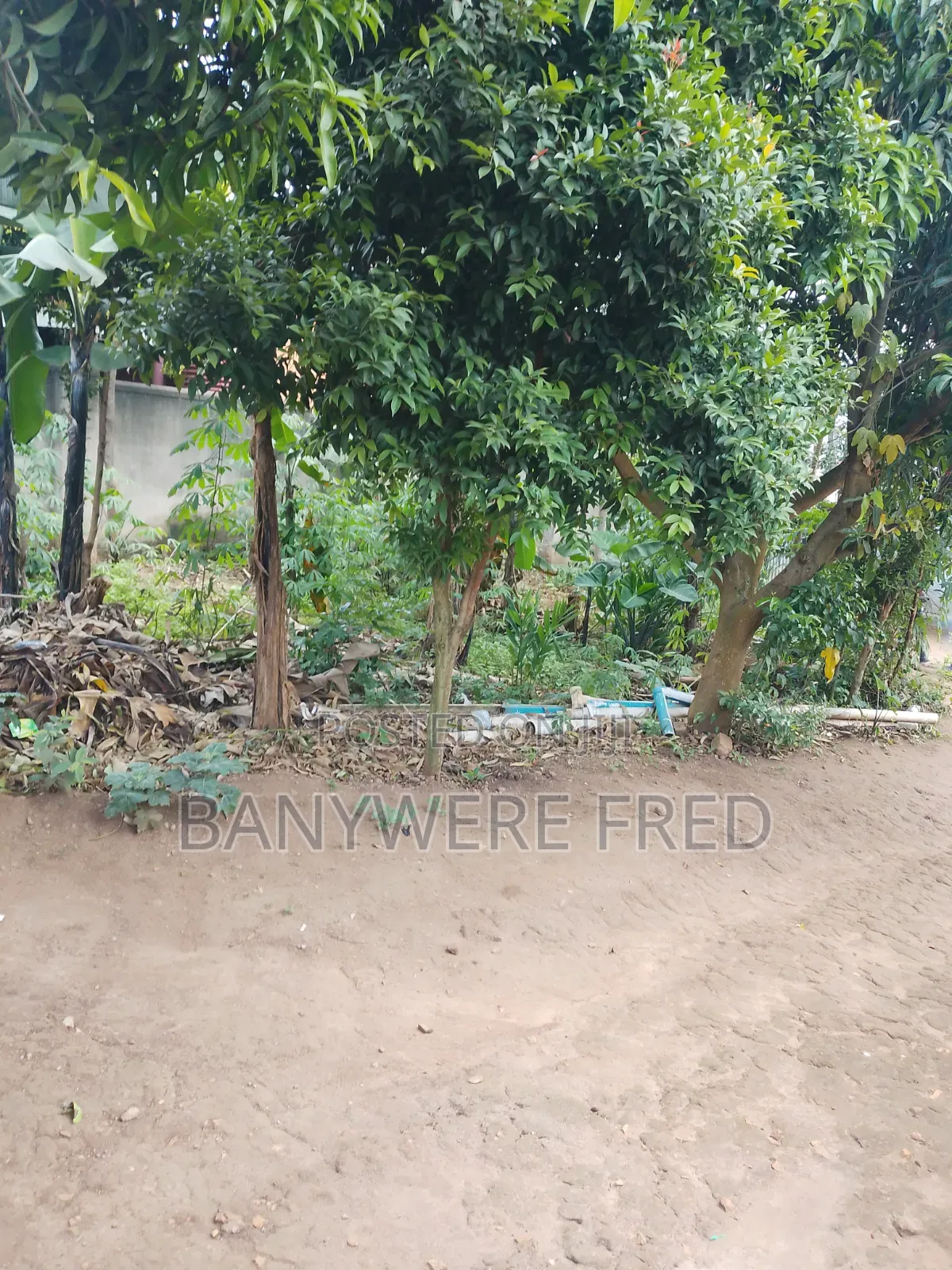 3bdrm Bungalow in Nsawo Estate, Kira for sale in Kira