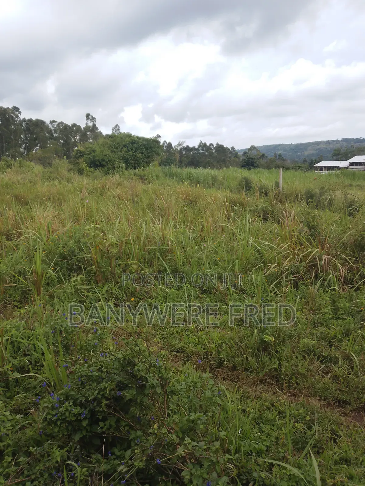 90 Acres of Farmland for Sale in Nangunga in Ntenjeru / Mukono