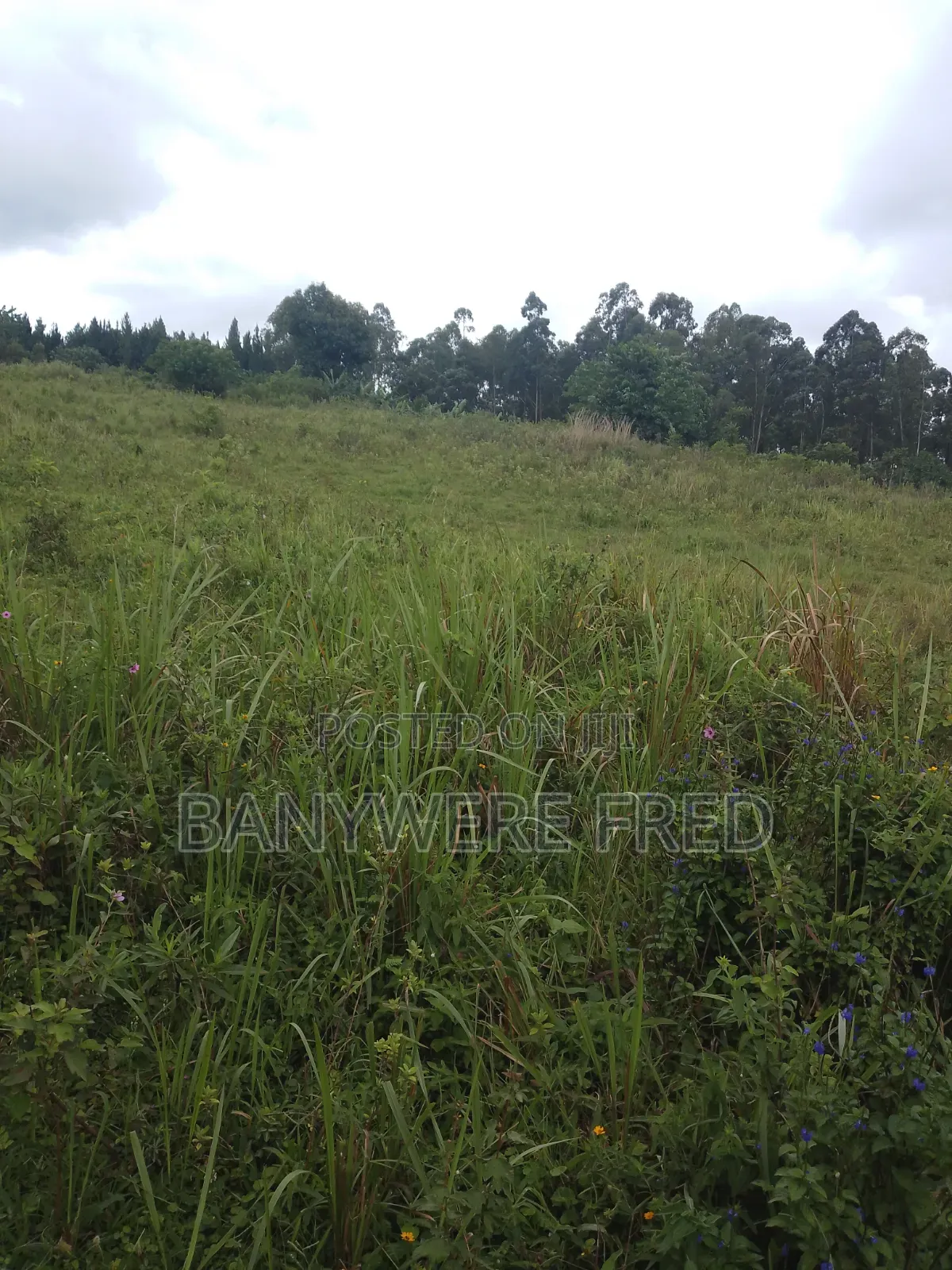 90 Acres of Farmland for Sale in Nangunga in Ntenjeru / Mukono