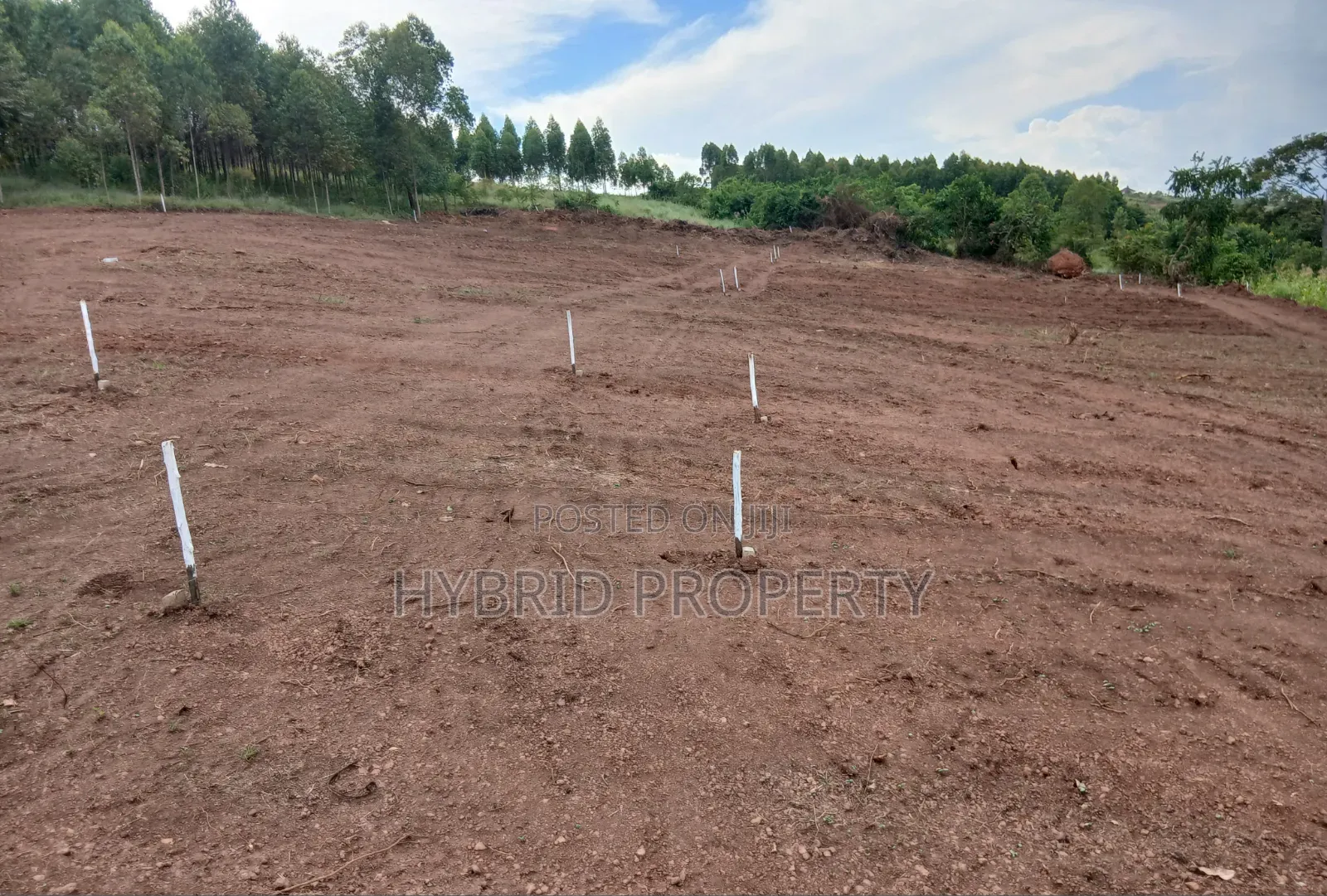 Prime Plots for Sale at Katende~Mabuye Along Masaka Road. in Kiringente