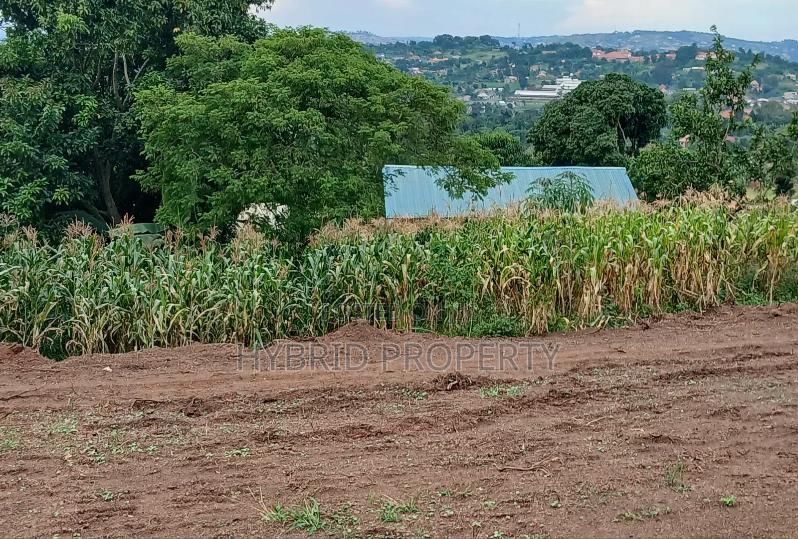Prime Plots for Sale at Katende~Mabuye Along Masaka Road. in Kiringente