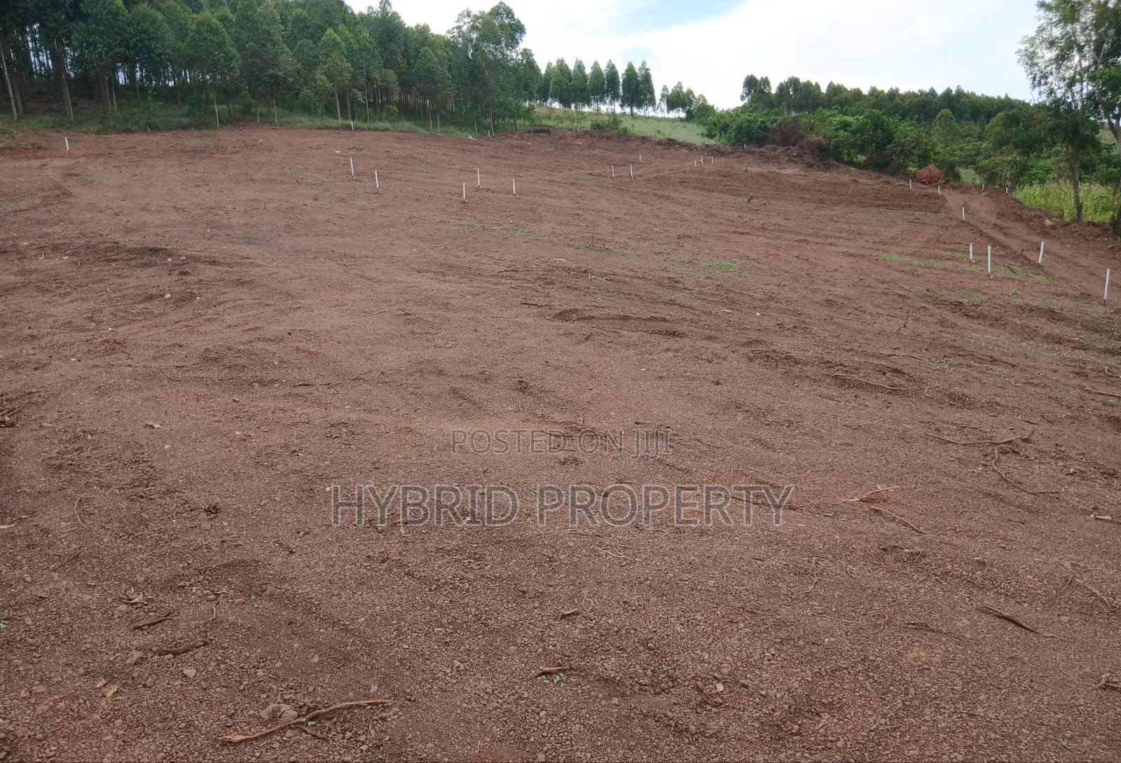 Prime Plots for Sale at Katende~Mabuye Along Masaka Road. in Kiringente