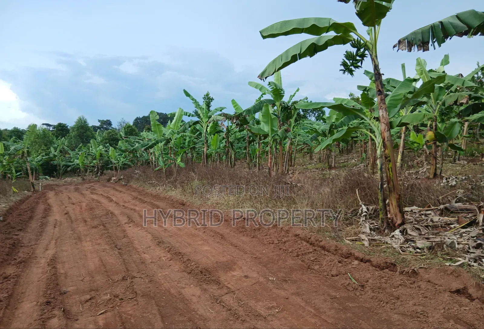 Prime Plots for Sale at Katende~Luvumbula Land Estate Along Masaka Rd in Kiringente