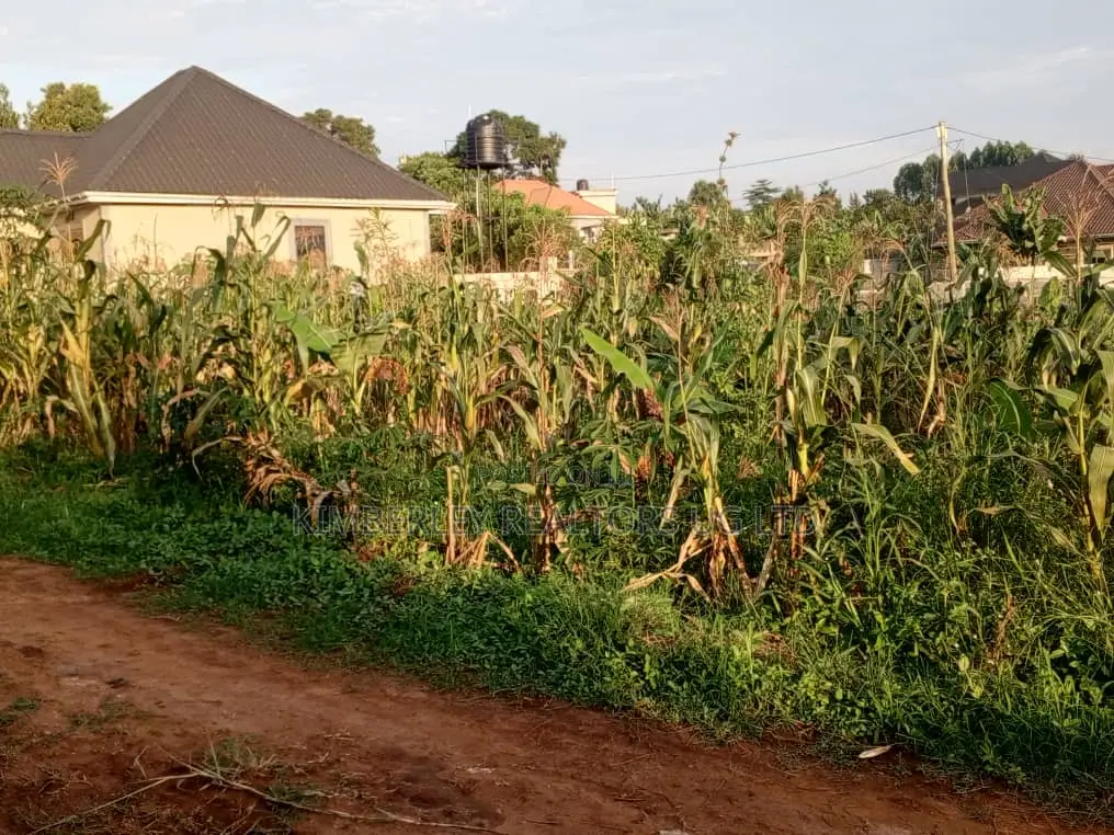 Well Organised Estate in Corporate Area – Quick Sale in Gombe