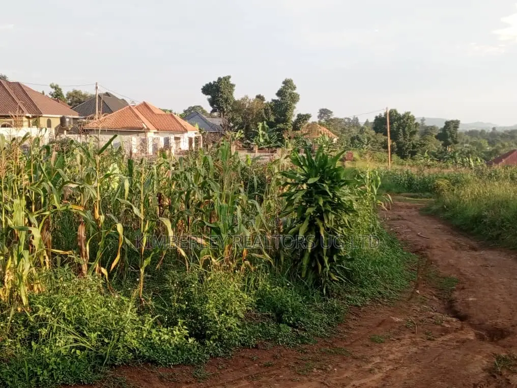 Well Organised Estate in Corporate Area – Quick Sale in Gombe