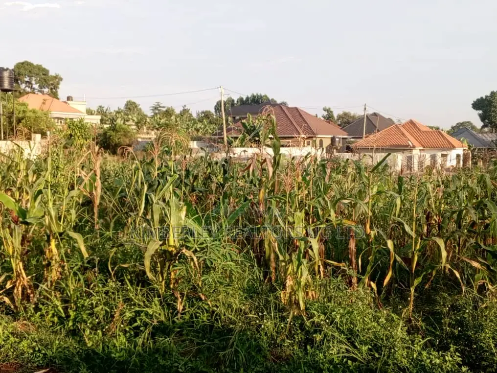 Well Organised Estate in Corporate Area – Quick Sale in Gombe