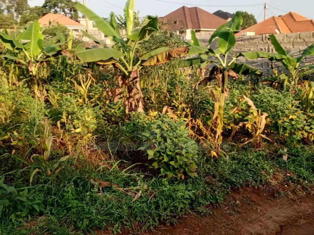 Well Organised Estate in Corporate Area – Quick Sale in Gombe