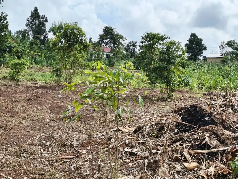 Plot for Sale – Mbalala (Mukono) in Mukono TC