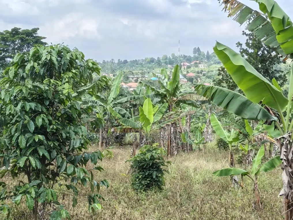 Plot for Sale – Mbalala (Mukono) in Mukono TC