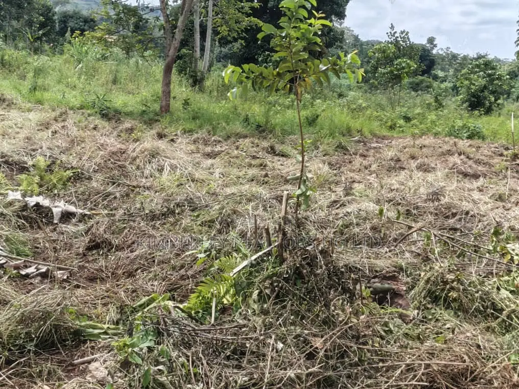 Plot for Sale – Mbalala (Mukono) in Mukono TC