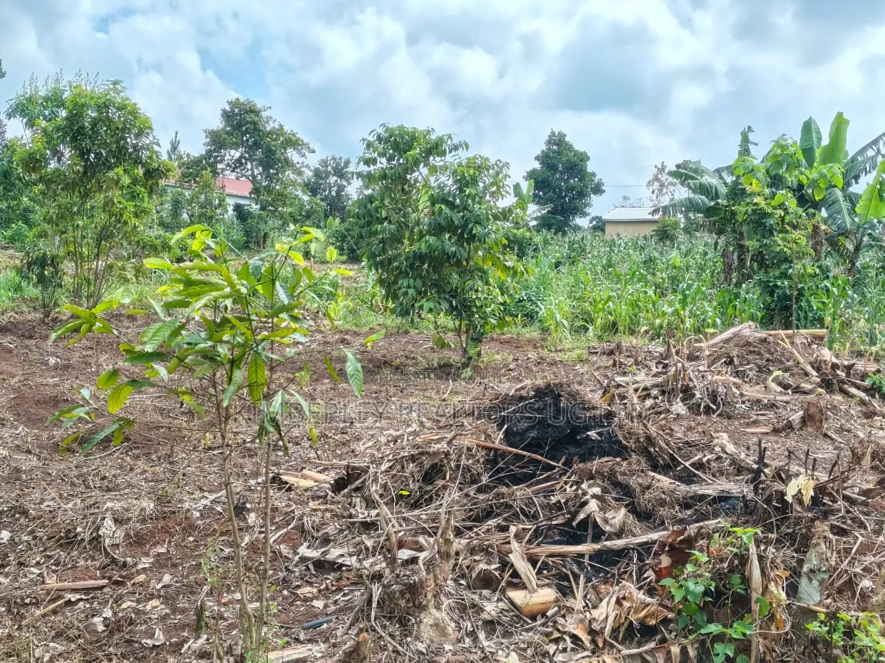 Plot for Sale – Mbalala (Mukono) in Mukono TC
