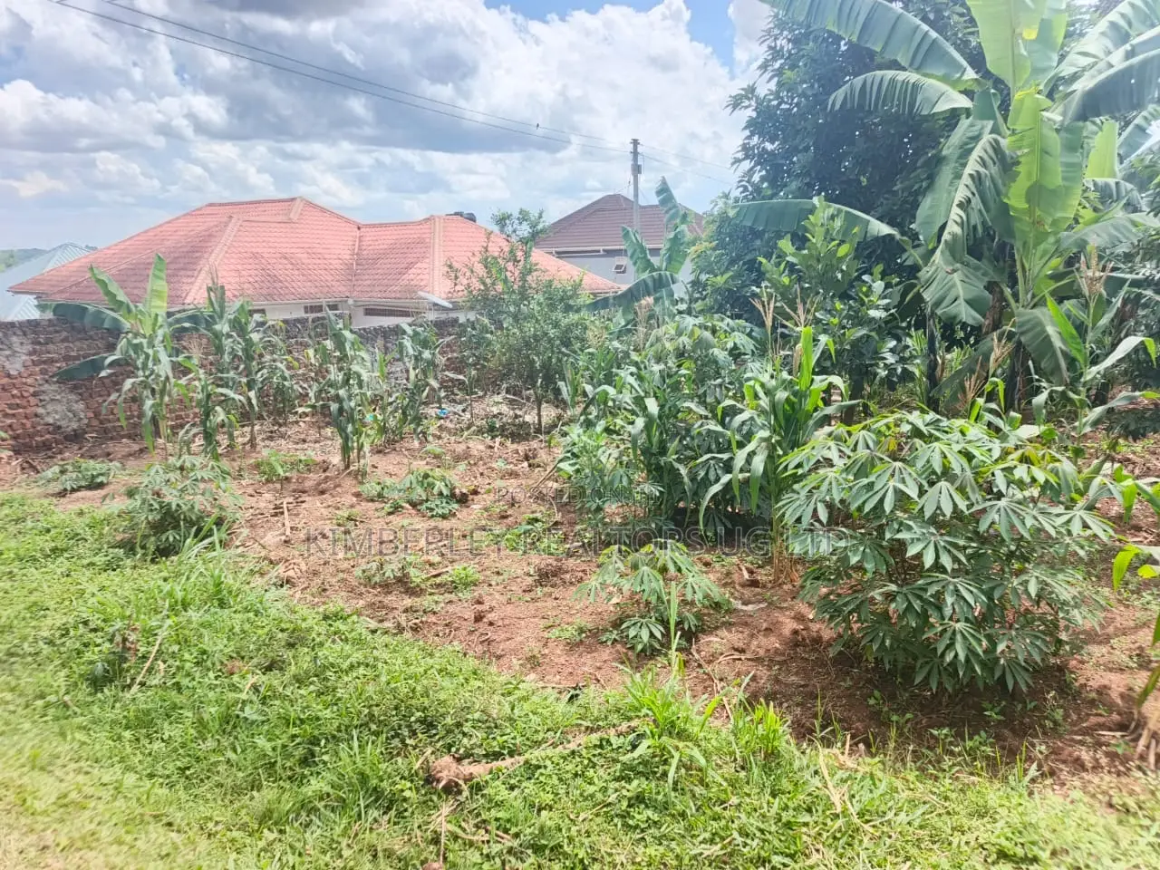 Prime Plot for Sale – Mukono Kusatu in Mukono TC
