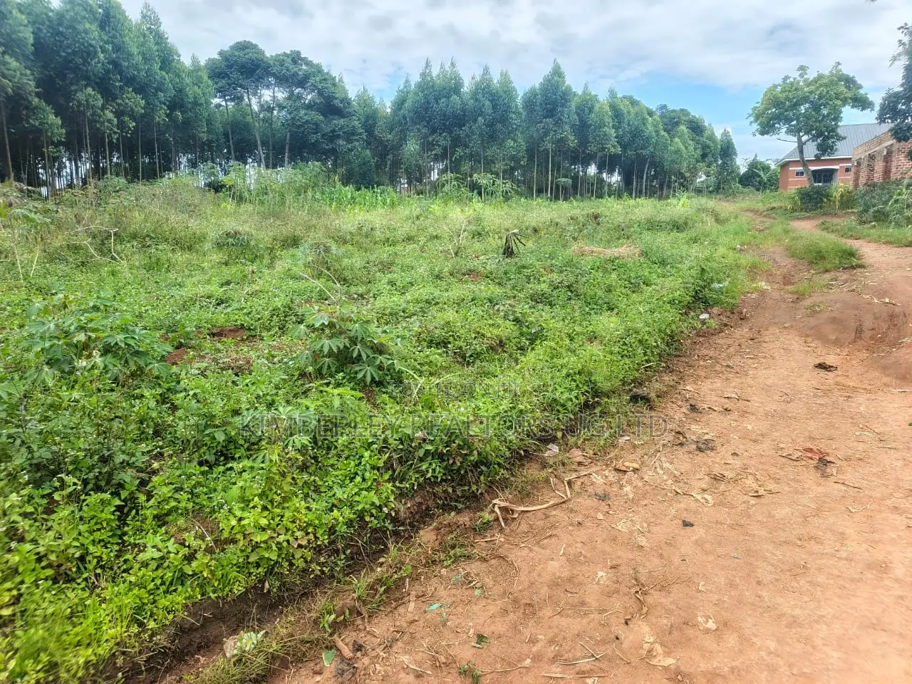Prime Land for Sale – Mukono Katosi in Mukono TC