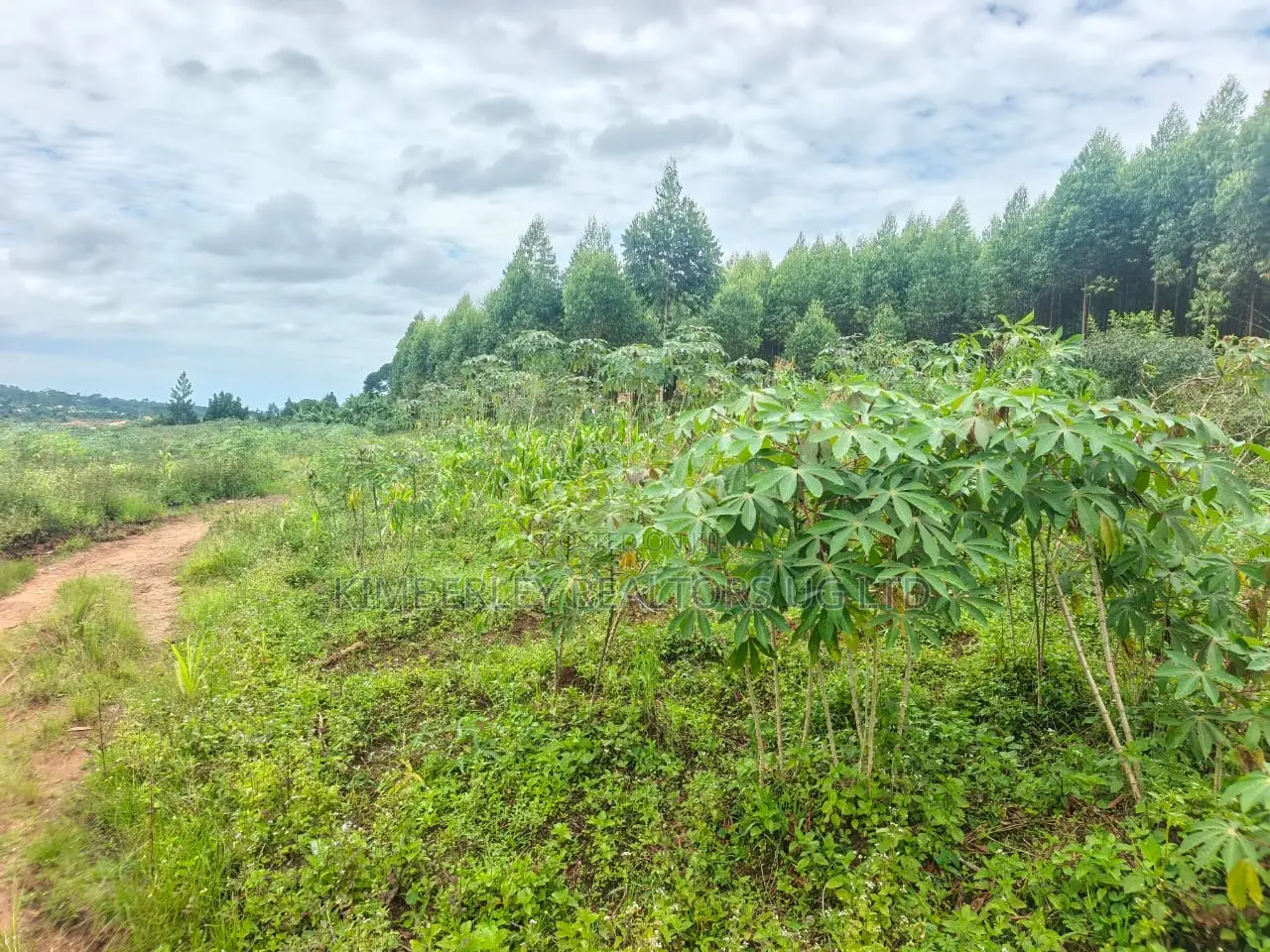 Prime Land for Sale – Mukono Katosi in Mukono TC
