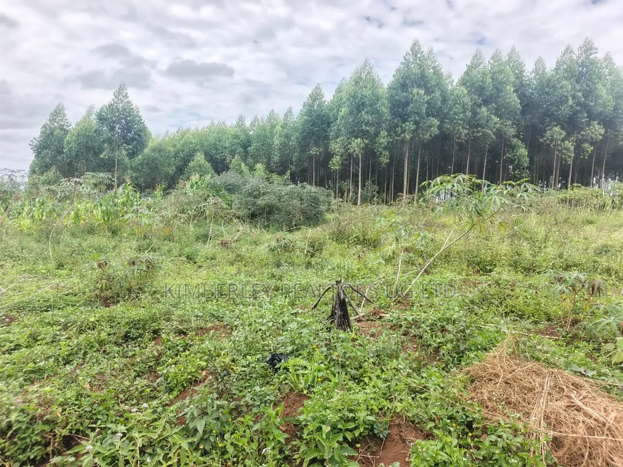 Prime Land for Sale – Mukono Katosi in Mukono TC