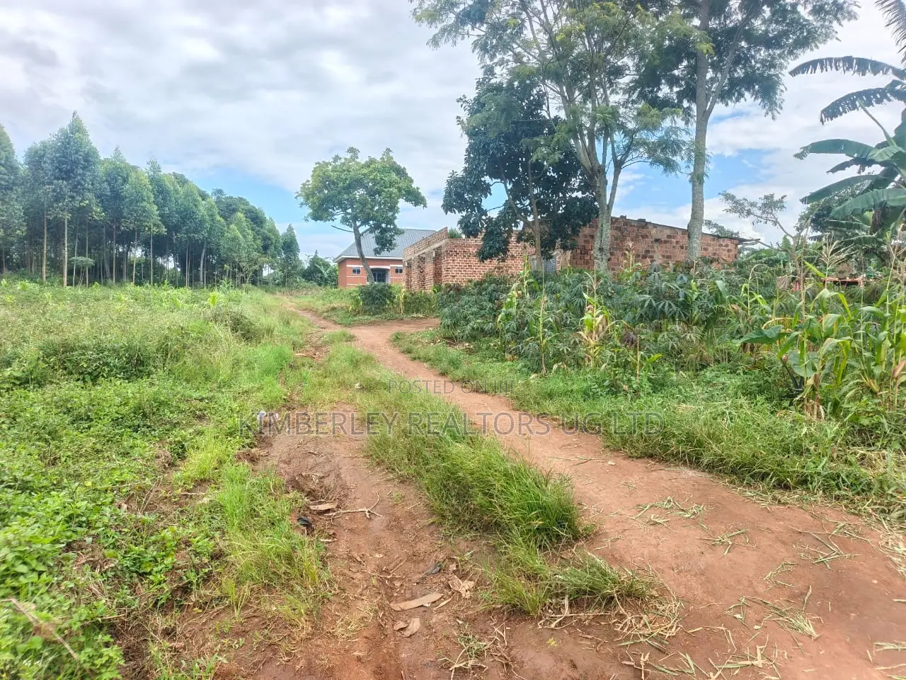Prime Land for Sale – Mukono Katosi in Mukono TC