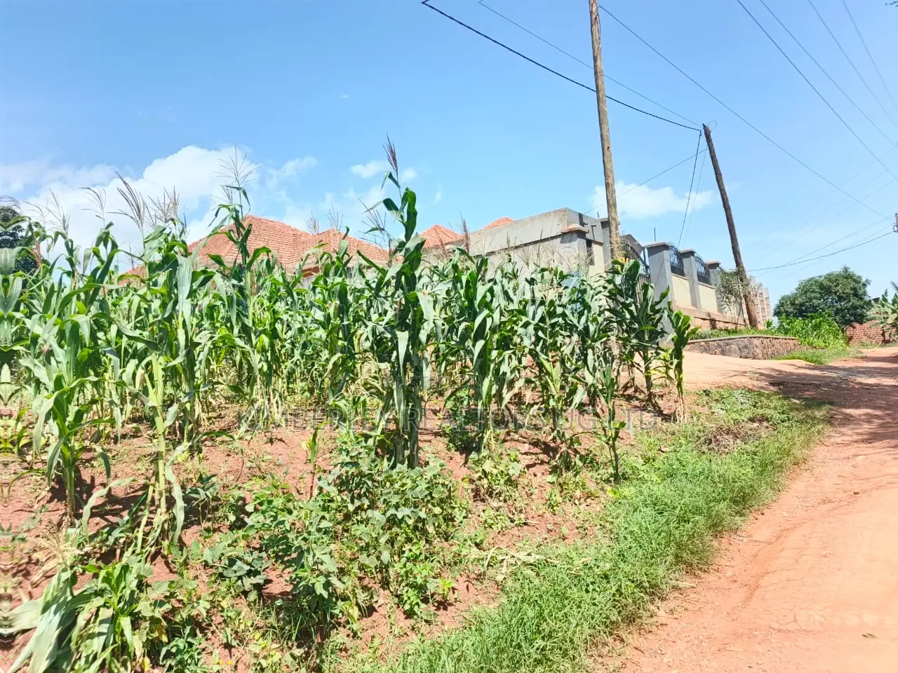Hot Plot for Sale – Sonde Hill View Estate in Mukono TC