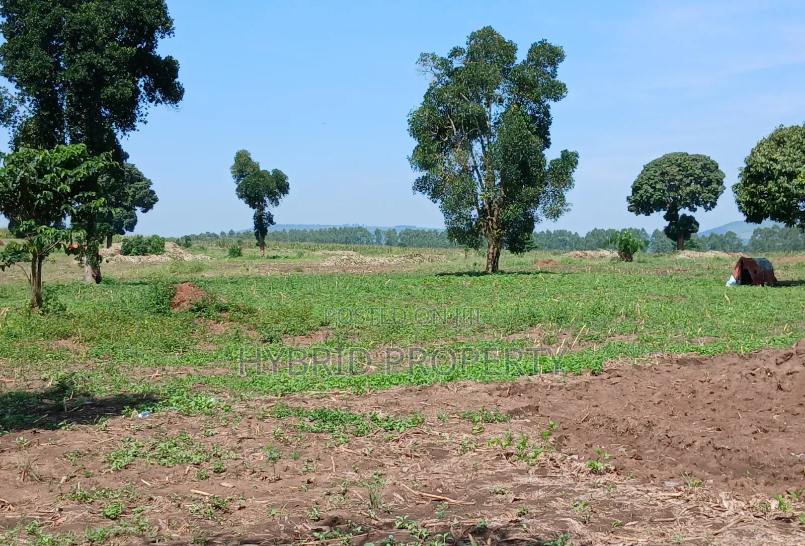 Fertile 640acres for Rent at Busunju~Sekanyonyi Hoima Road. in Ssekanyonyi