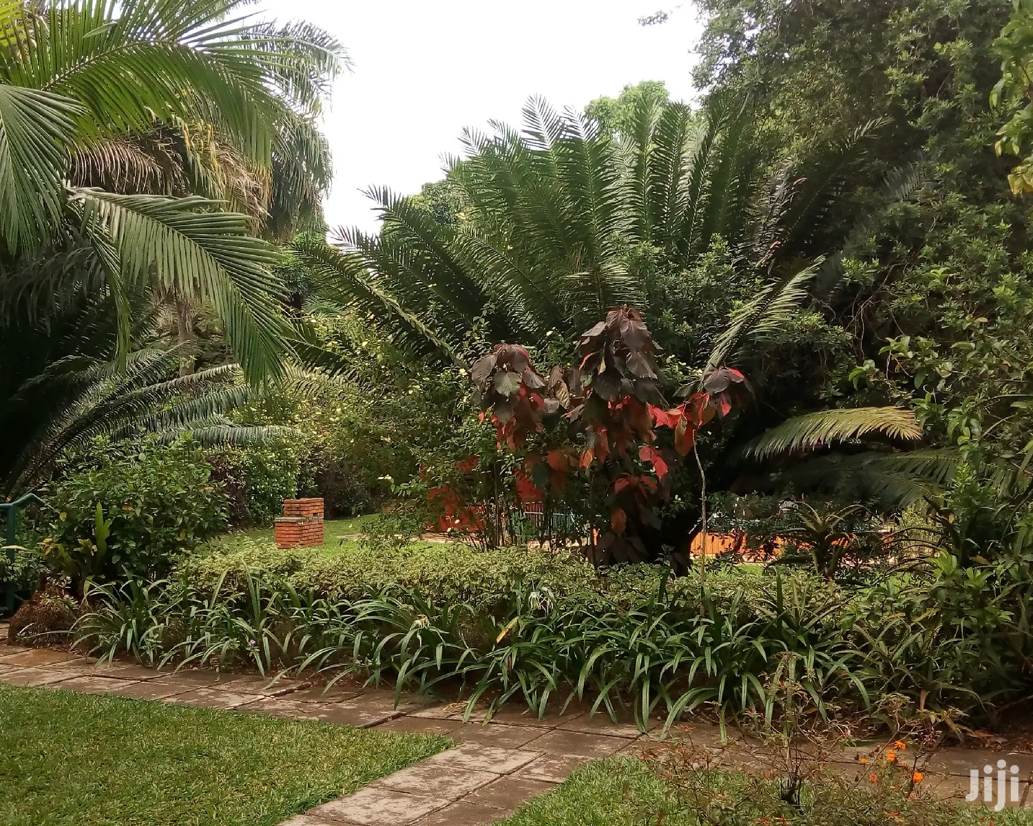 4bedrooms House Is Available for Rent in Kololo in Kampala