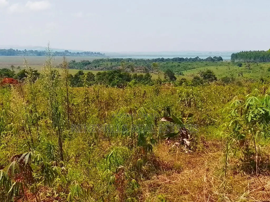 New Estate In Buwaya Sazi 50 By 100ft Plots Titled, Near The Road in Kasanje