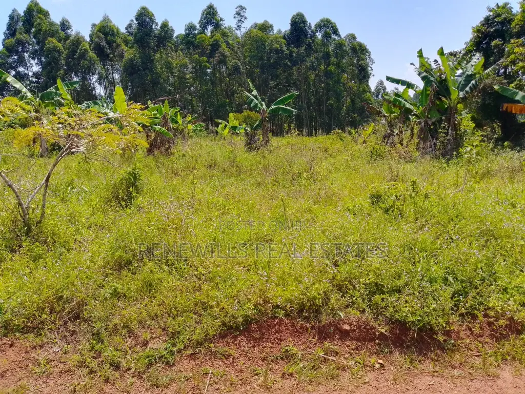 New Estate In Buwaya Sazi 50 By 100ft Plots Titled, Near The Road in Kasanje