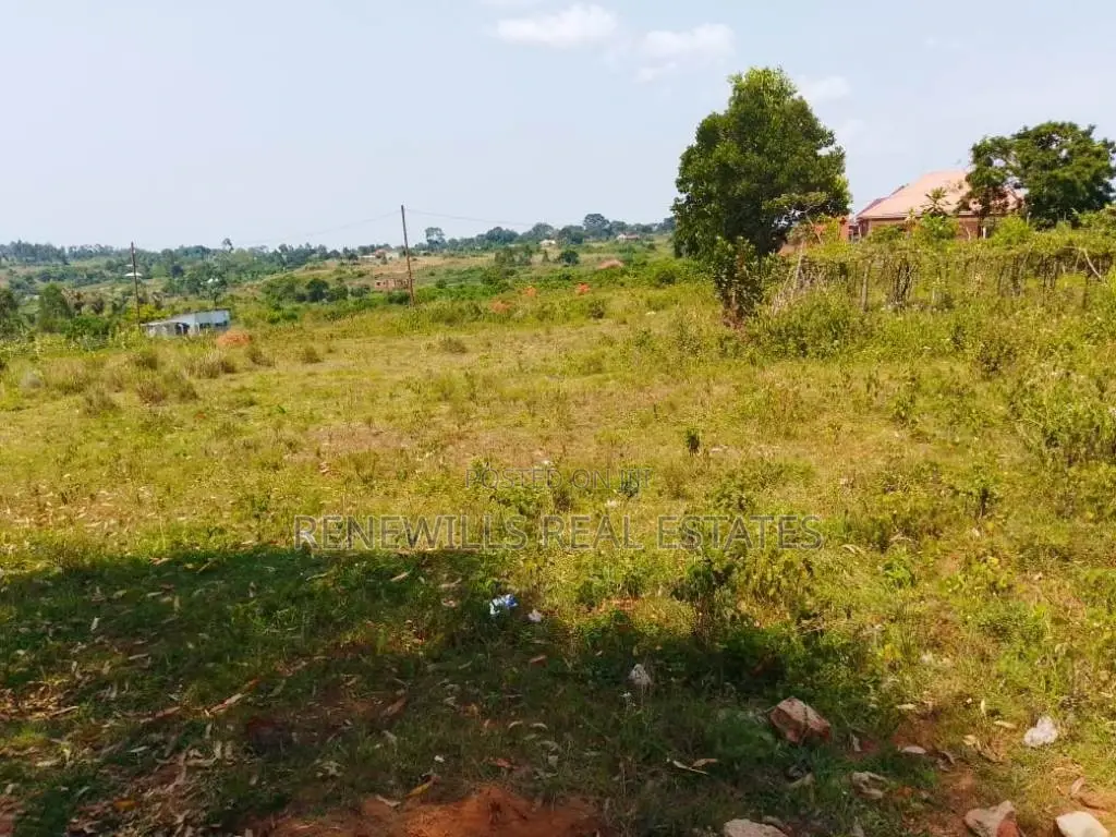 Plot for Sale 50 by 100ft in a Highly Developing Estate Kasanje Bulumb in Kasanje