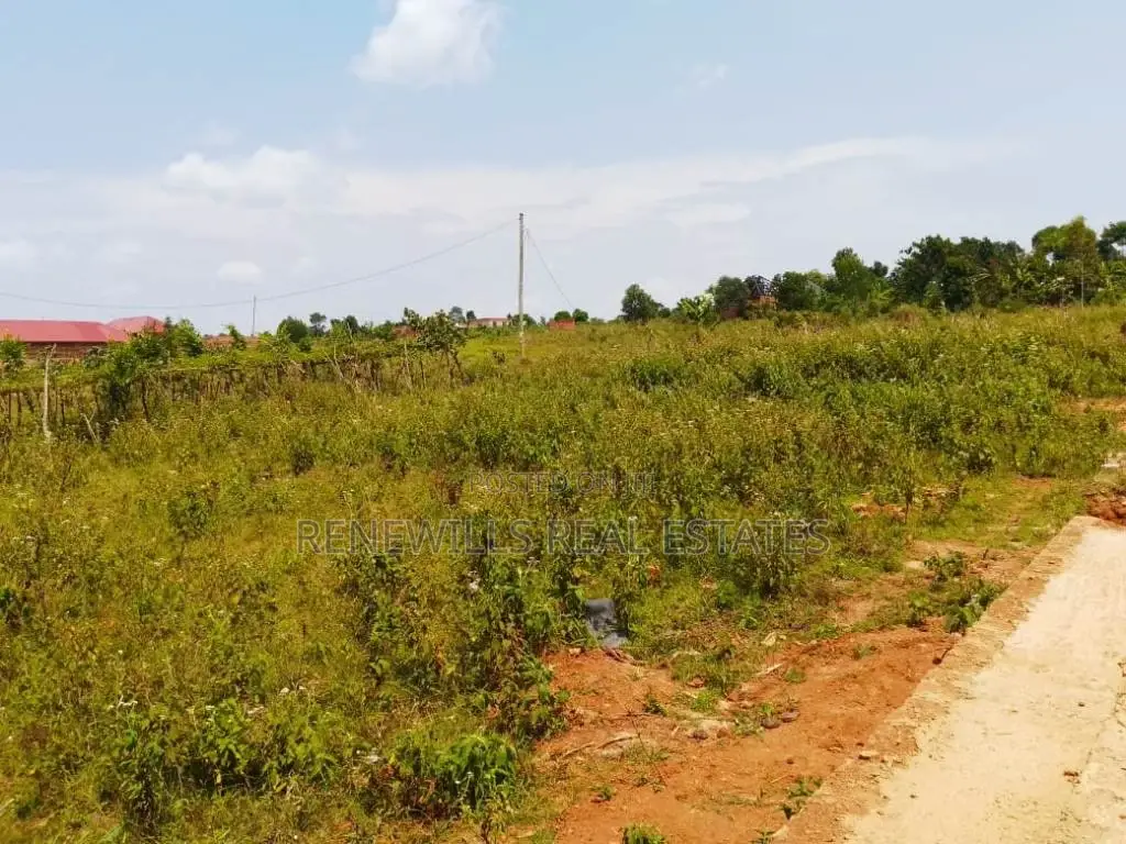 Plot for Sale 50 by 100ft in a Highly Developing Estate Kasanje Bulumb in Kasanje