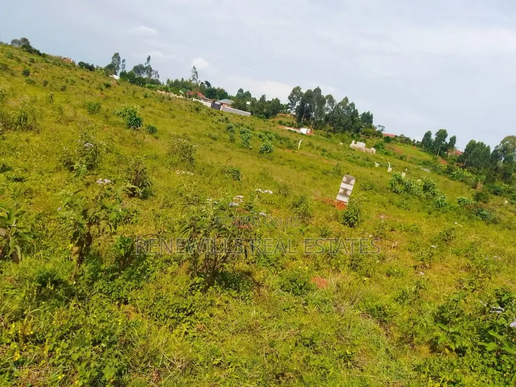 Land for Sale in Entebbe Buwaya- Sazi 50 by 100 Titled in an Estate in Kasanje