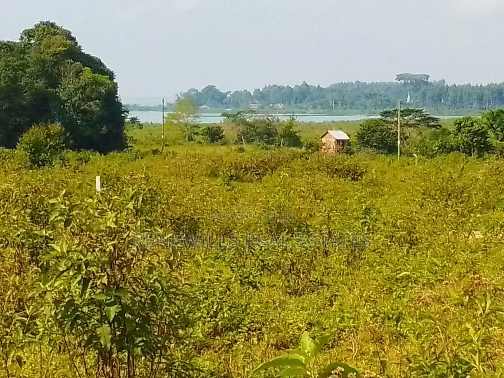 Land for Sale in Entebbe Buwaya- Sazi 50 by 100 Titled in an Estate in Kasanje