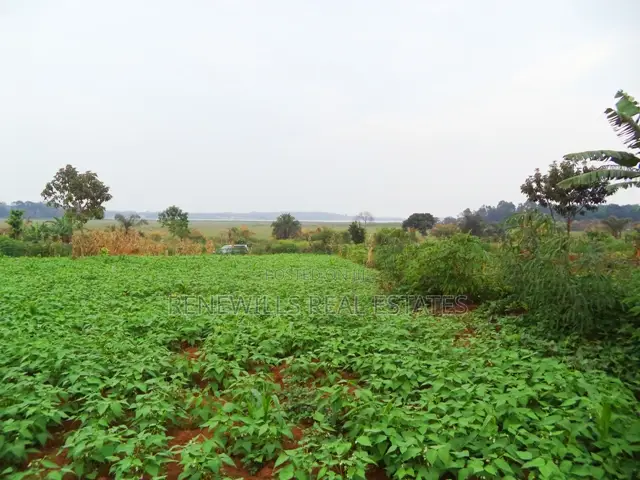 30 Decimal Plot With a Land Title, Lake View in Garuga Entebbe in Katabi