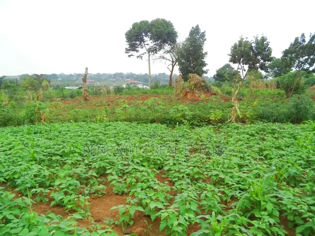 30 Decimal Plot With a Land Title, Lake View in Garuga Entebbe in Katabi