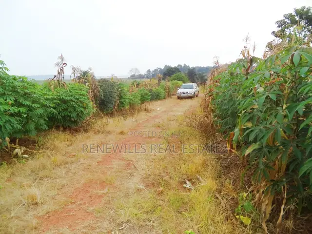 30 Decimal Plot With a Land Title, Lake View in Garuga Entebbe in Katabi