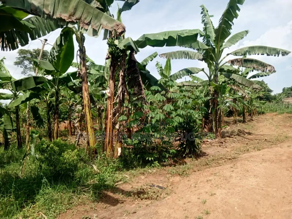 Quick Sale Plots for Sale – Matugga Kitungwa in Division A