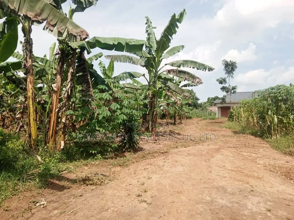 Quick Sale Plots for Sale – Matugga Kitungwa in Division A