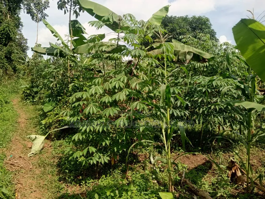 Quick Sale Plots for Sale – Matugga Kitungwa in Division A