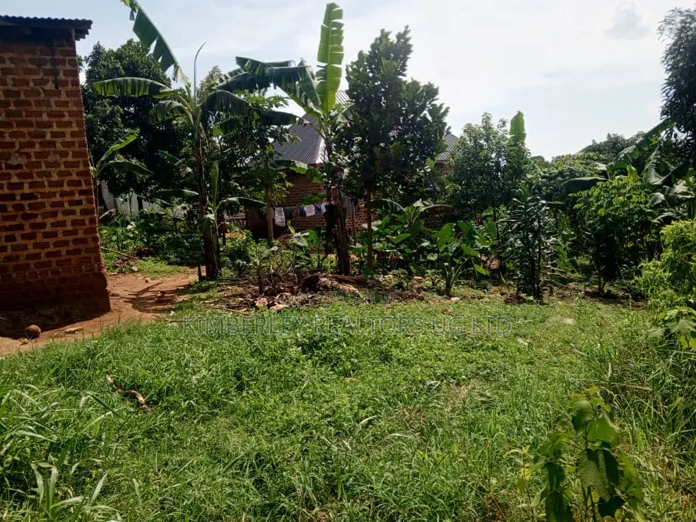 Prime Plot for Sale – Makindye Kizungu in Makindye